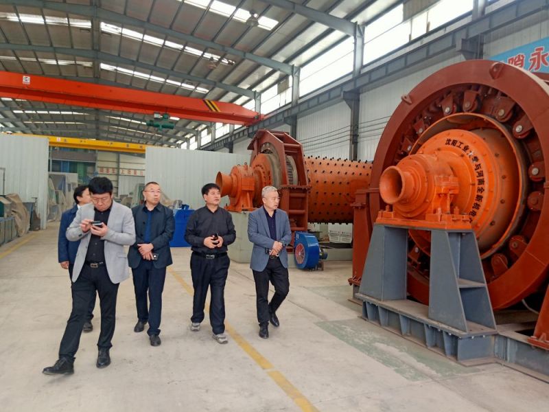 市領導來公司考察高低壓（yā）電機和永磁直驅球磨機